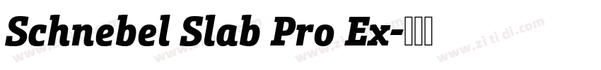 Schnebel Slab Pro Ex字体转换 Schnebel Slab Pro Ex字体转换